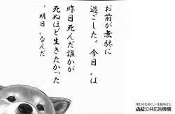 八段落ち The Veludo Beads