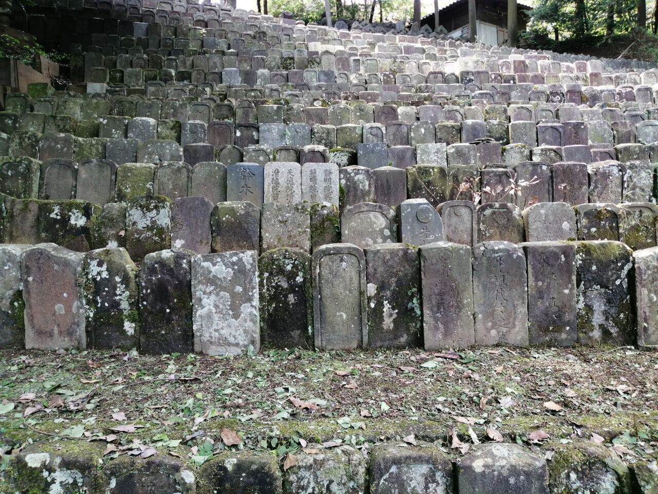 ありがた山 まめ田のブログ ありがた山 まめ田のブログ