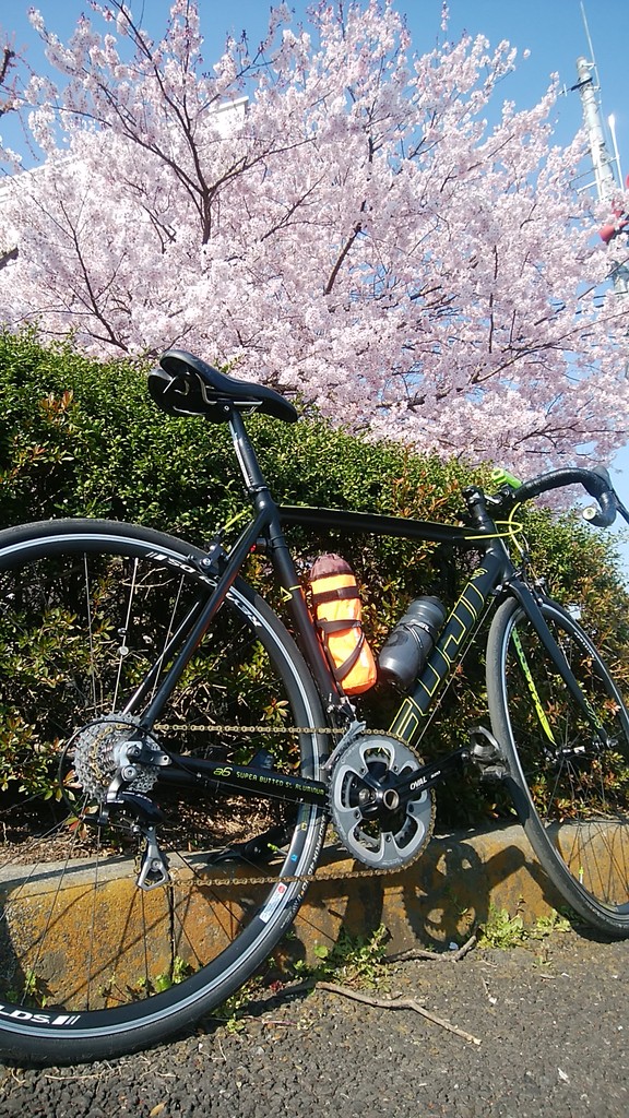 激激激坂に卒倒 初めてのラピュタ坂 いつかはローディーになりたい 初心者生活 激激激坂に卒倒 初めてのラピュタ坂 いつかはローディーになりたい 初心者生活