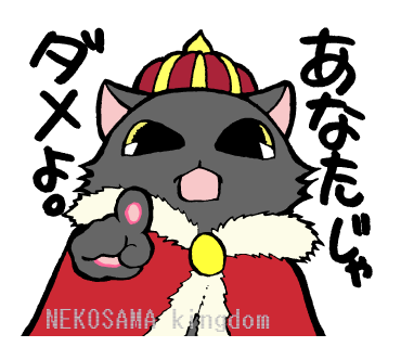 保護猫 ねこさま王国 動物大好き マメゴコロ 09 保護猫 ねこさま王国 動物大好き マメゴコロ 09
