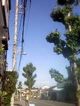 041ced9f.jpg