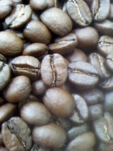 37b6761f.jpg