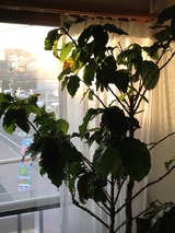 57781d7a.jpg