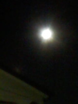 7df4358a.jpg