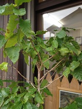 d65971e3.jpg