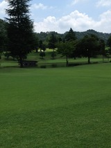 f2082132.jpg