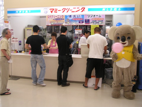 6ヨーク