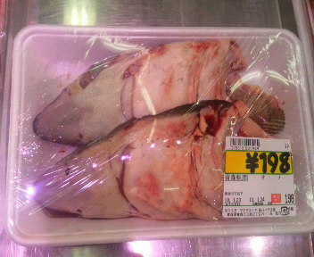 サメの頭 在津軽関西人の徒然日記