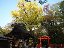 P1040686(1)