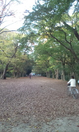 e1ba88d1.jpg