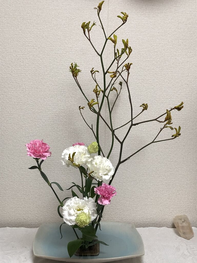 きらきら日記 今日のお花