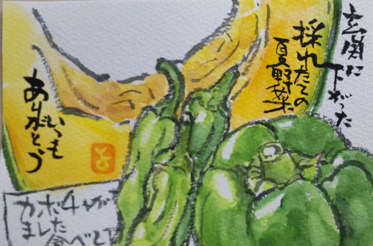 絵 手紙 夏 野菜