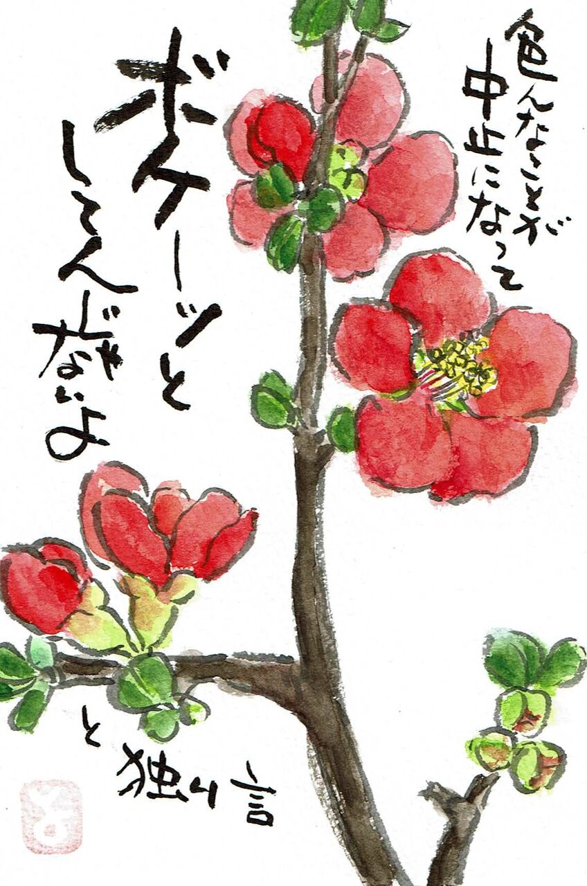 マミズマミーの花日和 ぼけ Mamizmammyのblog マミズマミーの花日和 ぼけ Mamizmammyのblog