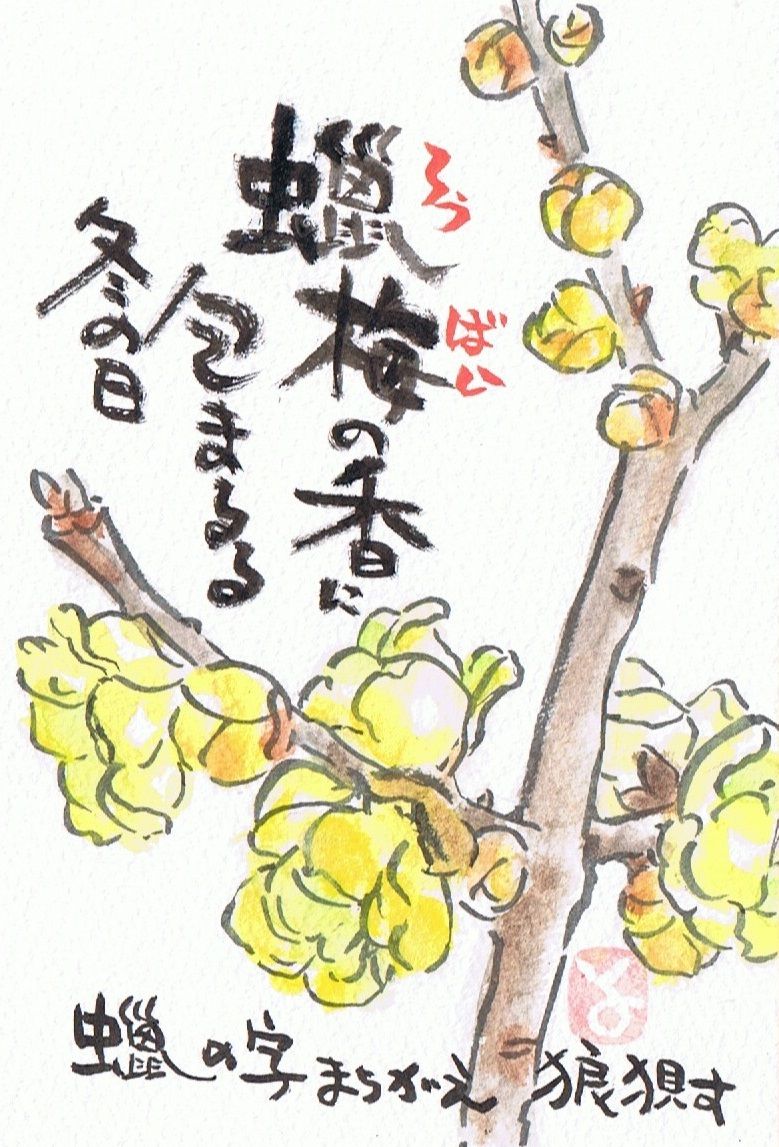 マミズマミーの絵手紙日和 蠟梅 Mamizmammyのblog