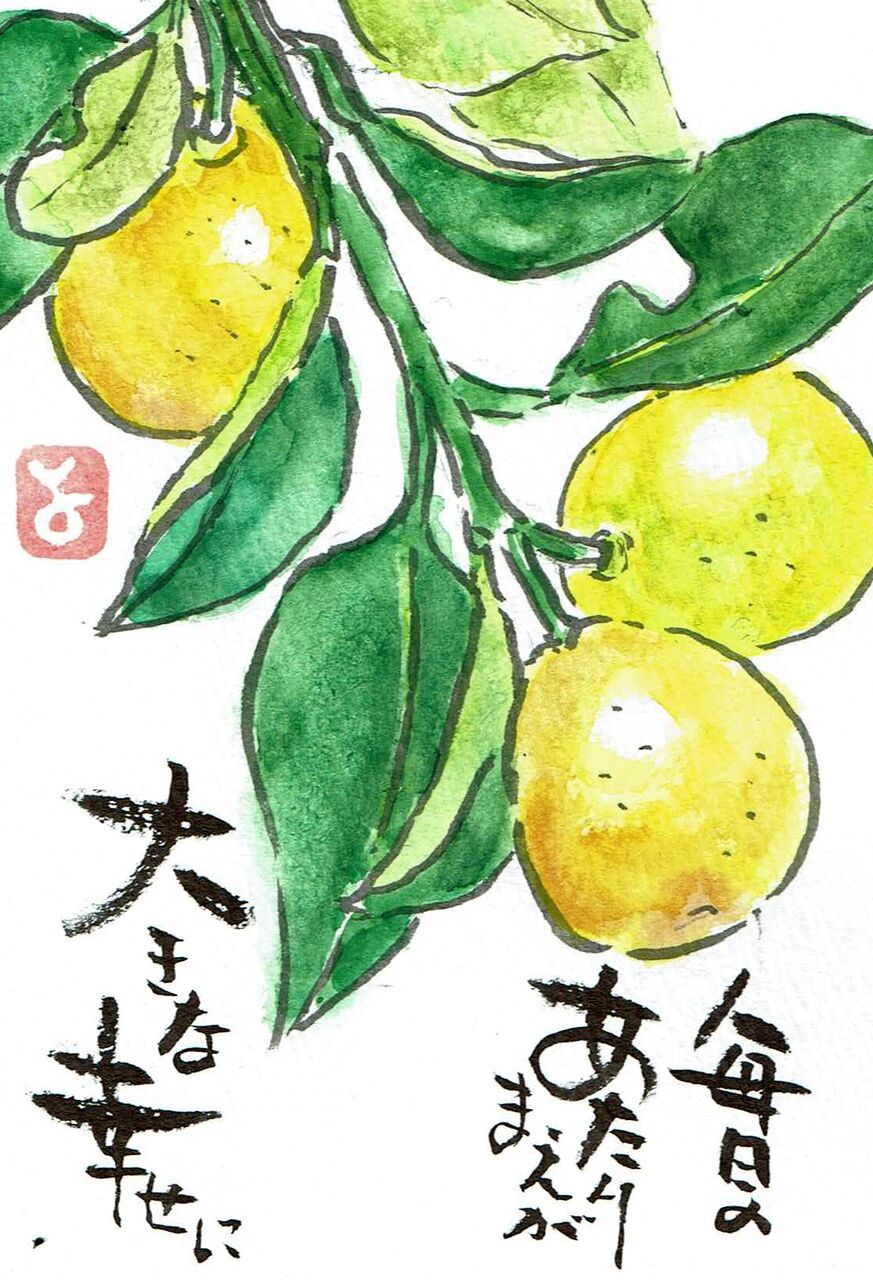 マミズマミーの絵手紙日和 金柑 Mamizmammyのblog マミズマミーの絵手紙日和 金柑 Mamizmammyのblog