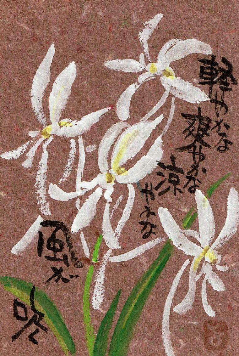 マミズマミーの花日和 風蘭 Mamizmammyのblog