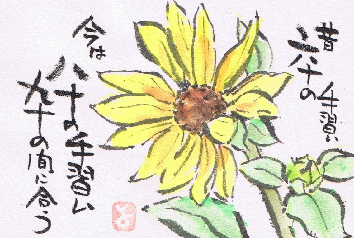 マミズマミーの絵手紙日和 姫向日葵 Mamizmammyのblog マミズマミーの絵手紙日和 姫向日葵 Mamizmammyのblog