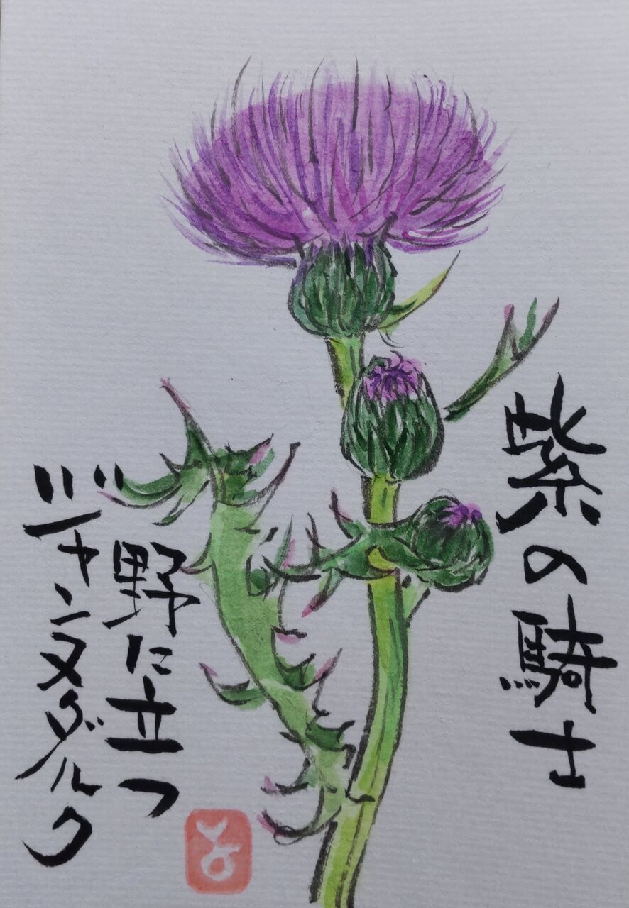 マミズマミーの絵手紙日和 アザミ Mamizmammyのblog