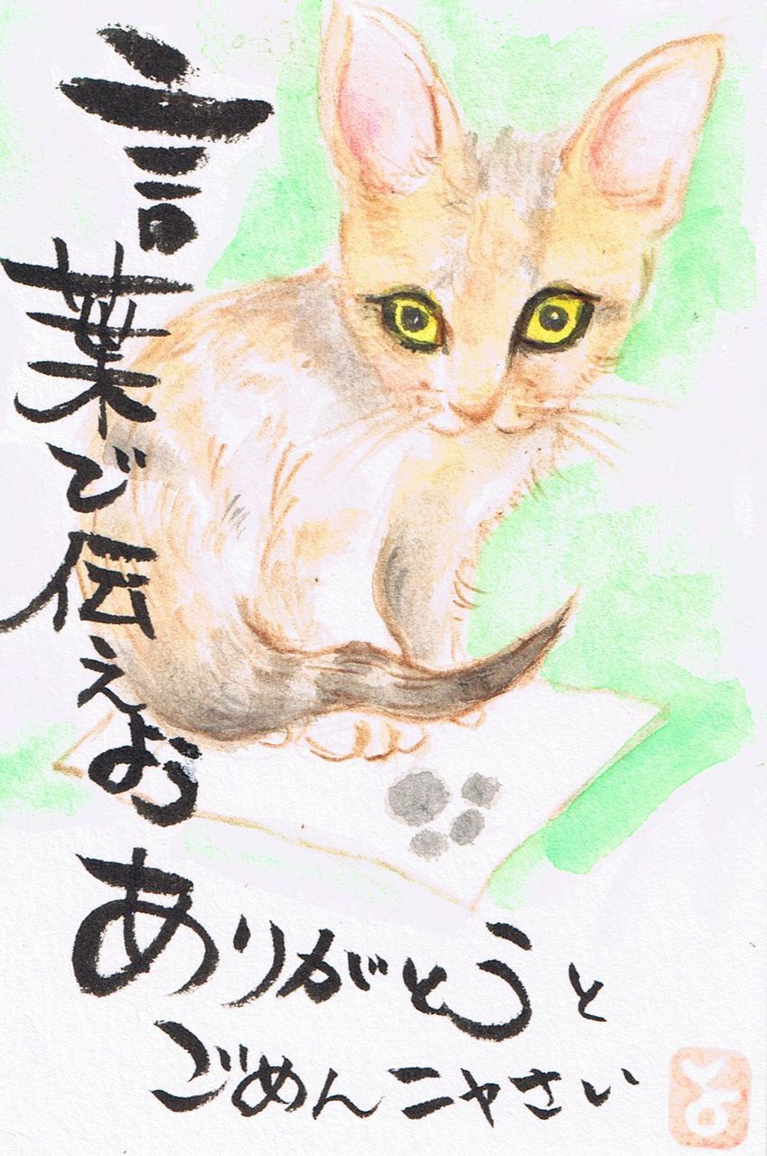 マミズマミーの絵手紙日和 子猫 Mamizmammyのblog マミズマミーの絵手紙日和 子猫 Mamizmammyのblog