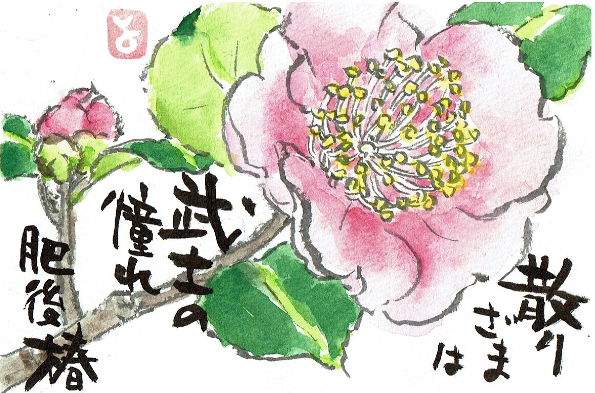 マミズマミーの花日和 肥後椿 ピンク Mamizmammyのblog