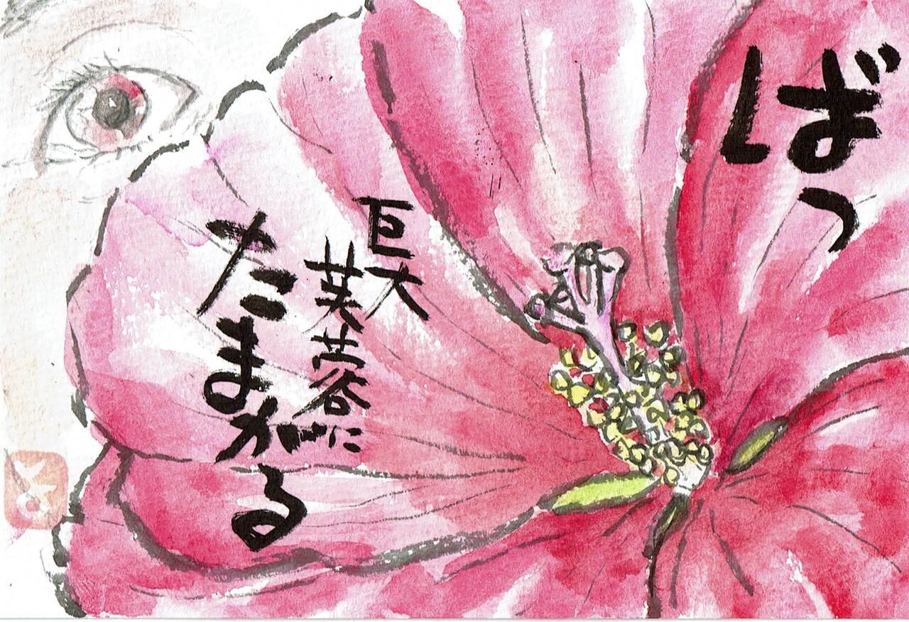 マミズマミーの花日和 タイタンビカス Mamizmammyのblog