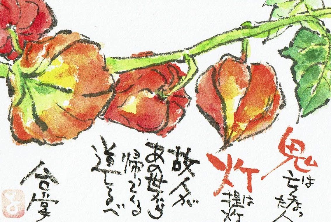 マミズマミーの盆日和 鬼灯 ほおずき Mamizmammyのblog