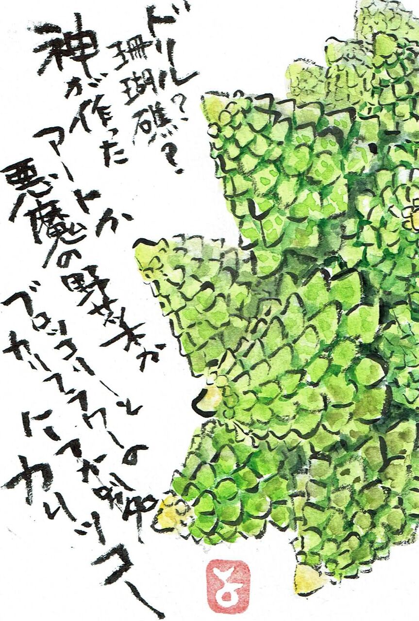 マミズマミーの初物日和 ロマネスコ Mamizmammyのblog