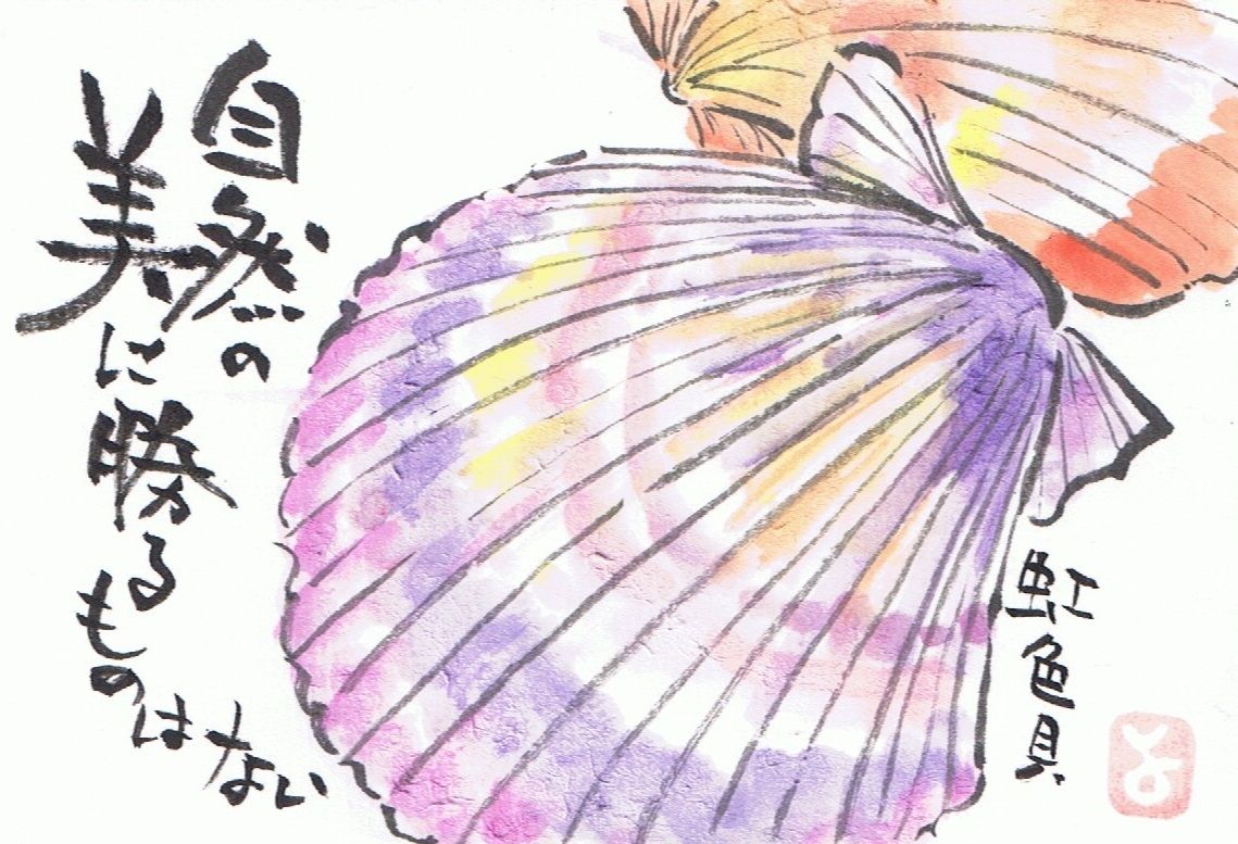 マミズマミーの絵手紙日和 緋扇貝 Mamizmammyのblog