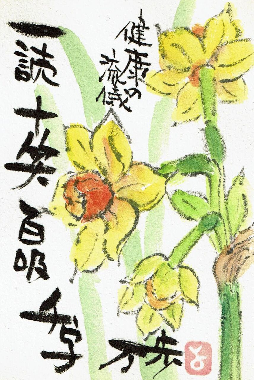 マミズマミーの絵手紙日和 黄水仙 Mamizmammyのblog マミズマミーの絵手紙日和 黄水仙 Mamizmammyのblog