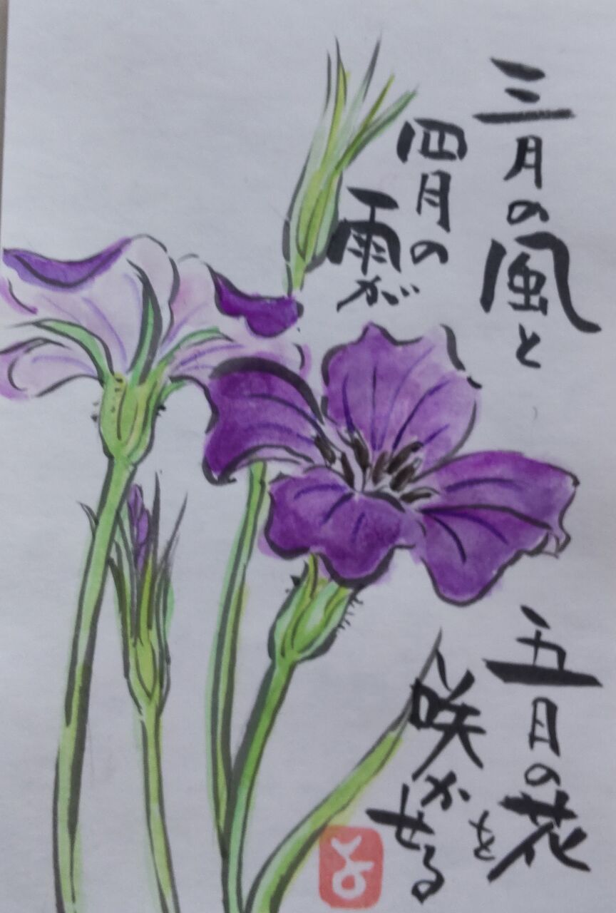 マミズマミーの花日和 アグロステンマ Mamizmammyのblog