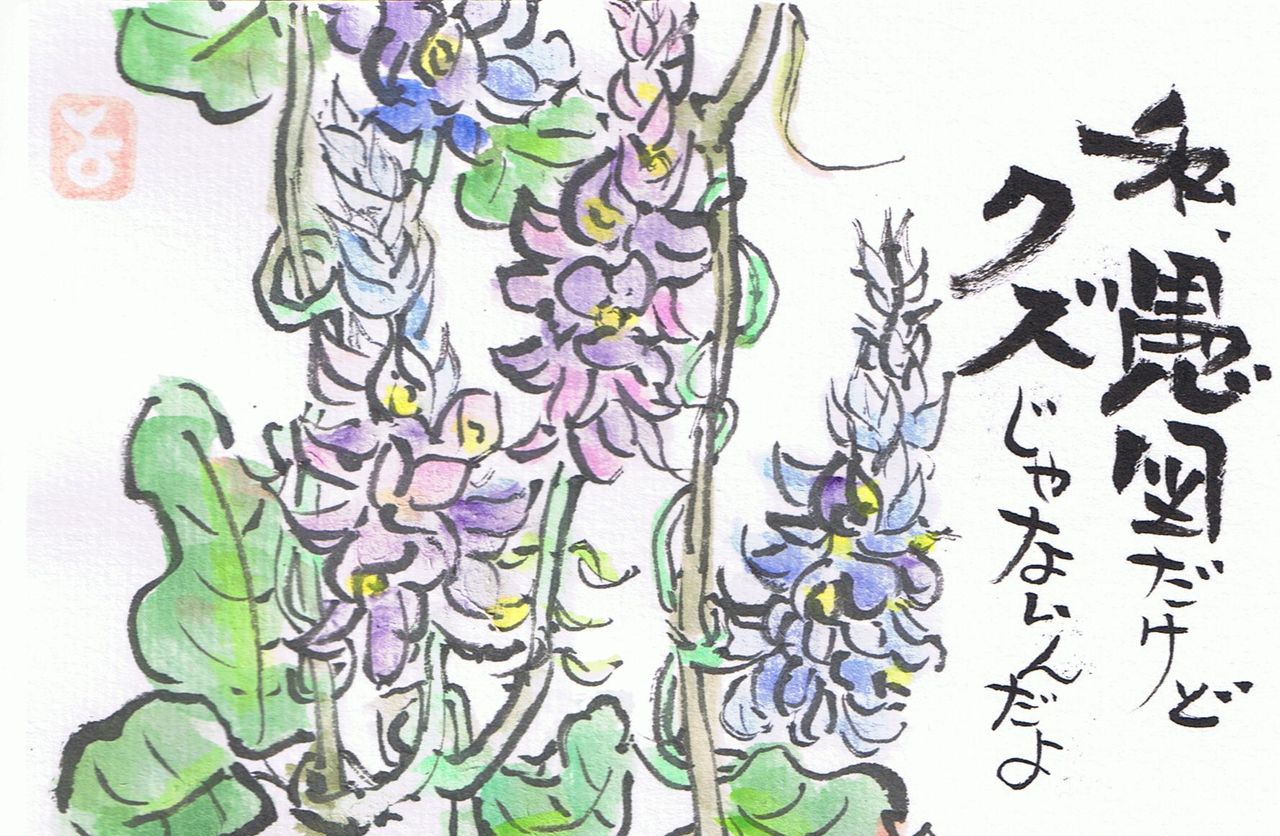 マミズマミーの絵手紙日和 葛の花 Mamizmammyのblog マミズマミーの絵手紙日和 葛の花 Mamizmammyのblog