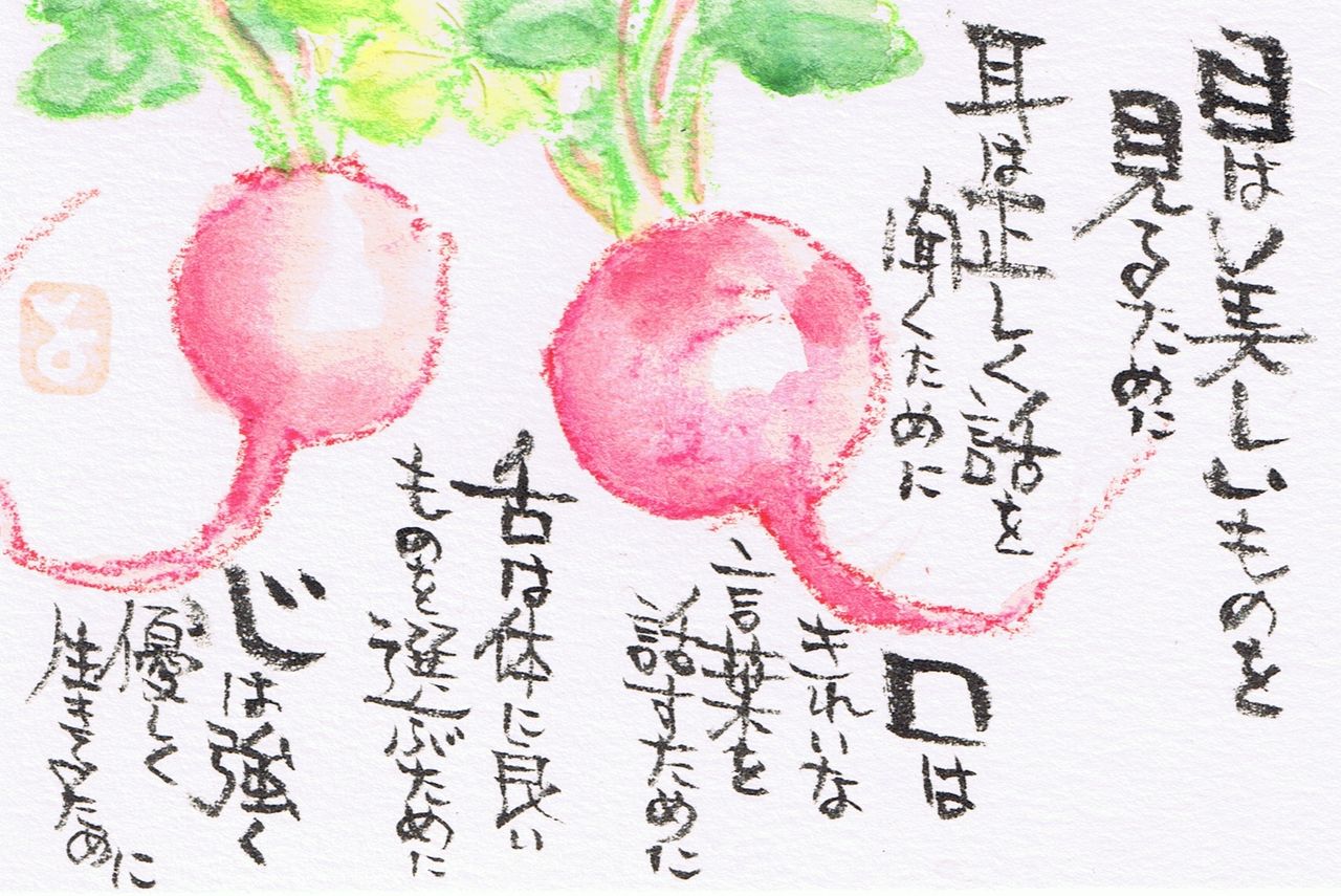 マミズマミーの絵手紙日和 二十日大根 Mamizmammyのblog マミズマミーの絵手紙日和 二十日大根 Mamizmammyのblog