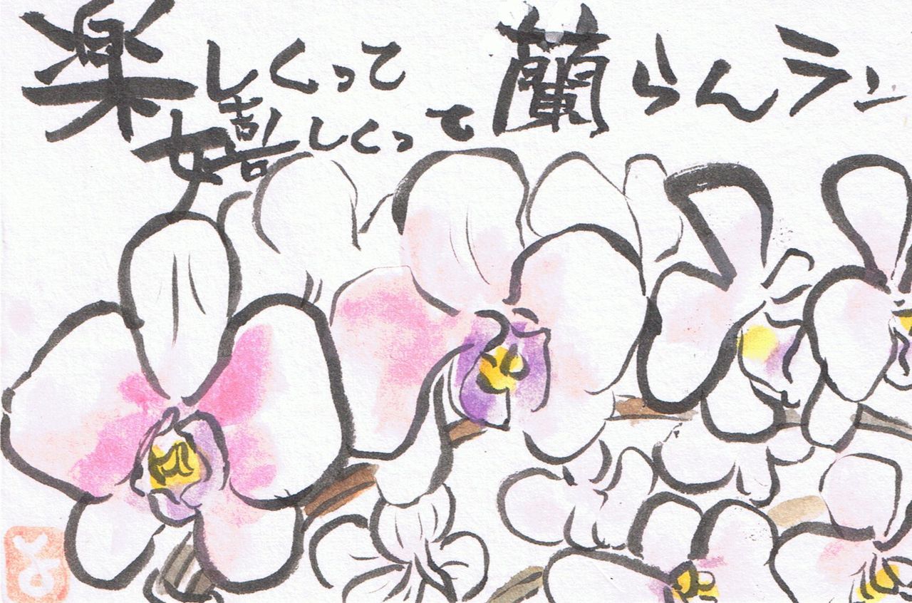 マミズマミーの絵手紙日和 胡蝶蘭 Mamizmammyのblog マミズマミーの絵手紙日和 胡蝶蘭 Mamizmammyのblog