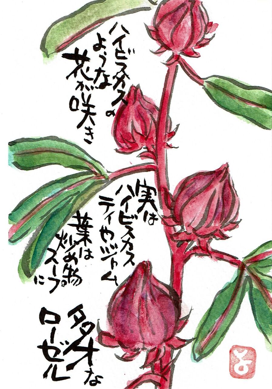 マミズマミーの花日和 ローゼル Mamizmammyのblog