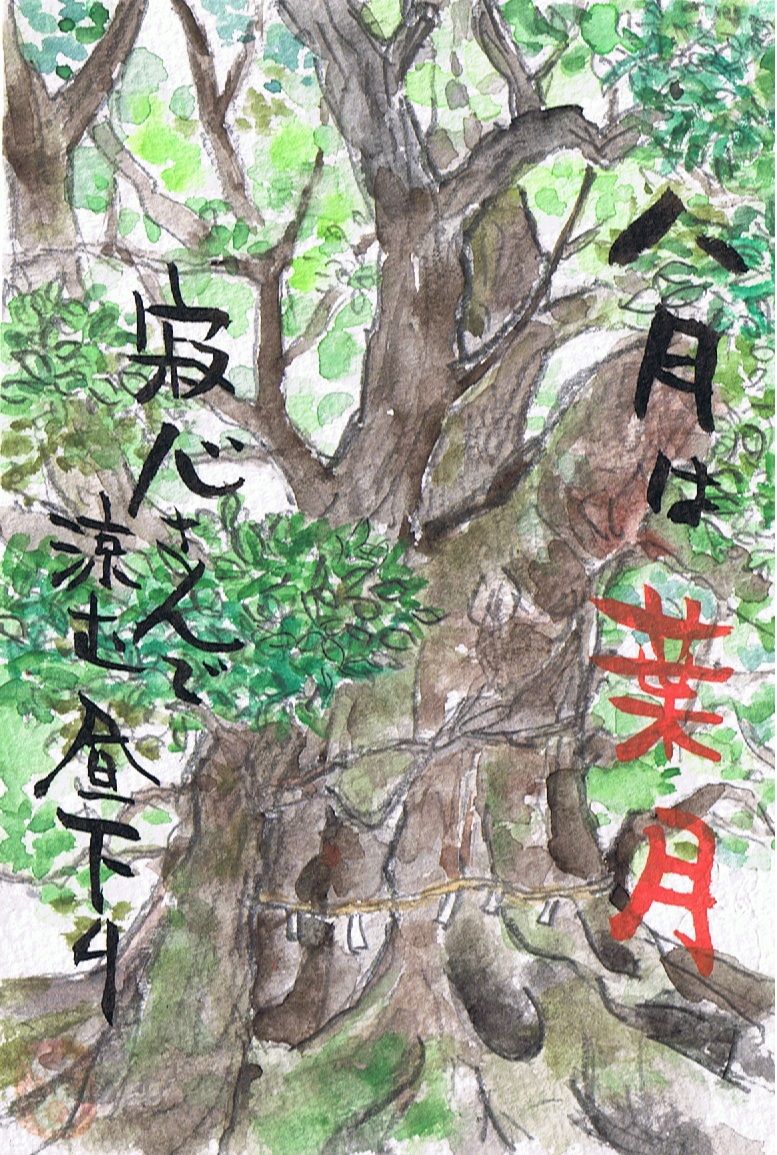 マミズマミーの和風月明 葉月 寂心の大楠 Mamizmammyのblog