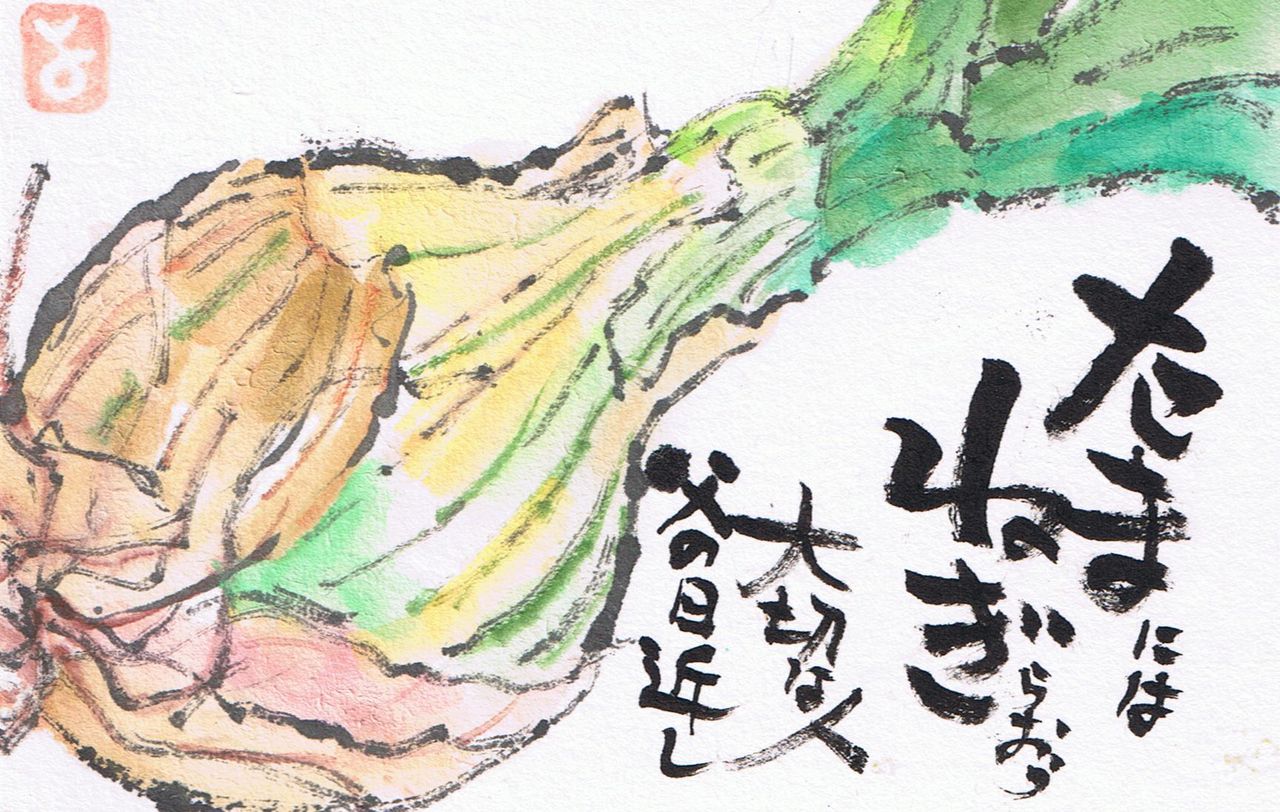 マミズマミーの絵手紙日和 玉葱 Mamizmammyのblog マミズマミーの絵手紙日和 玉葱 Mamizmammyのblog