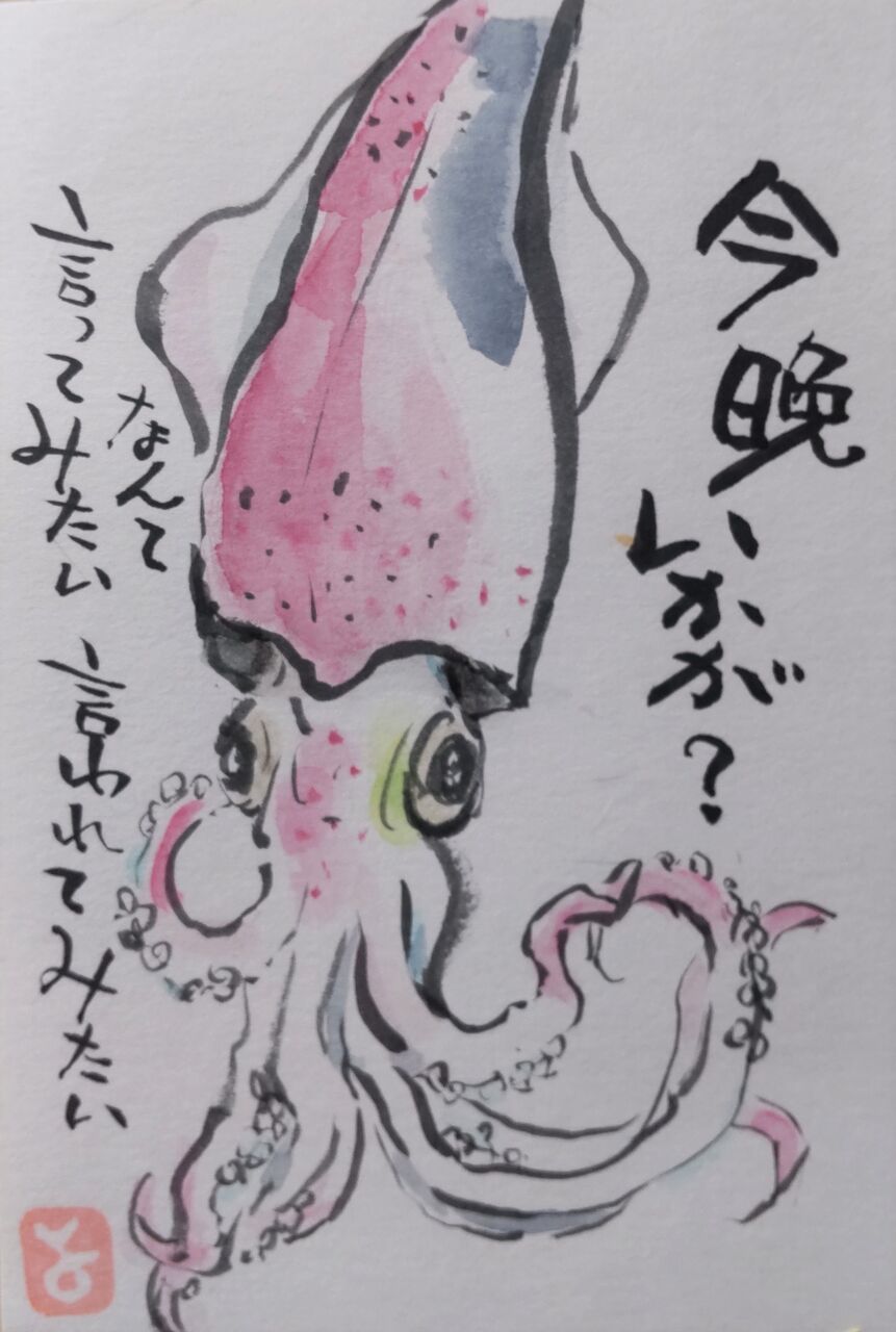 マミズマミーの絵手紙日和 ヤリイカ Mamizmammyのblog