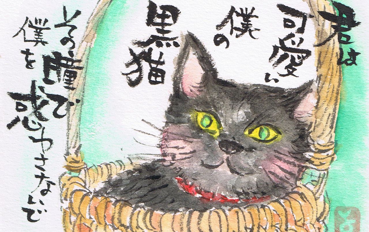 マミズマミーの絵手紙日和 黒猫 Mamizmammyのblog マミズマミーの絵手紙日和 黒猫 Mamizmammyのblog