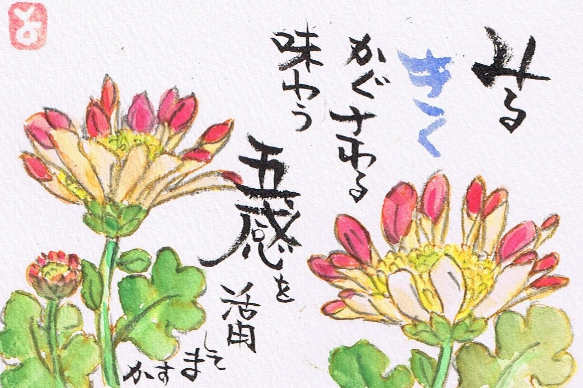 マミズマミーの絵手紙日和・菊 : mamizmammyのblog