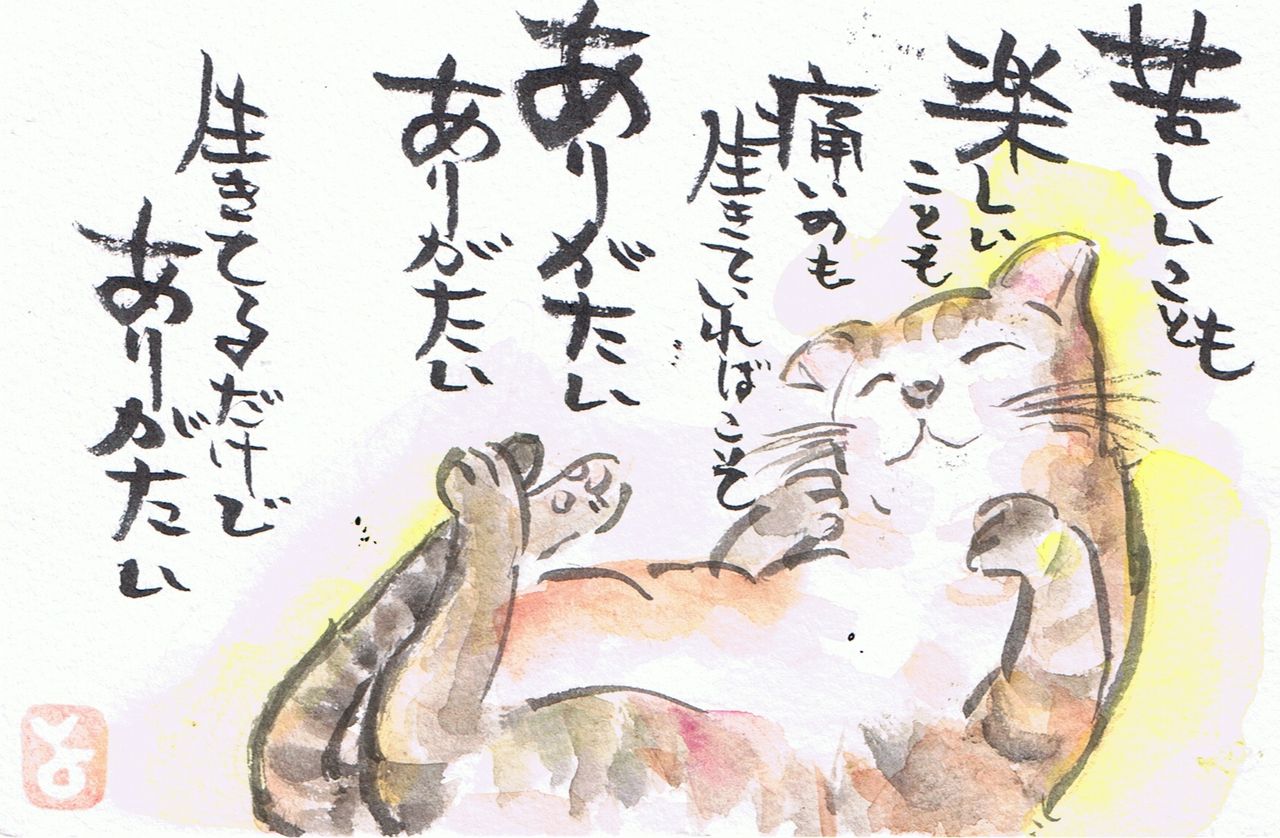 マミズマミーの絵手紙日和 猫 Mamizmammyのblog