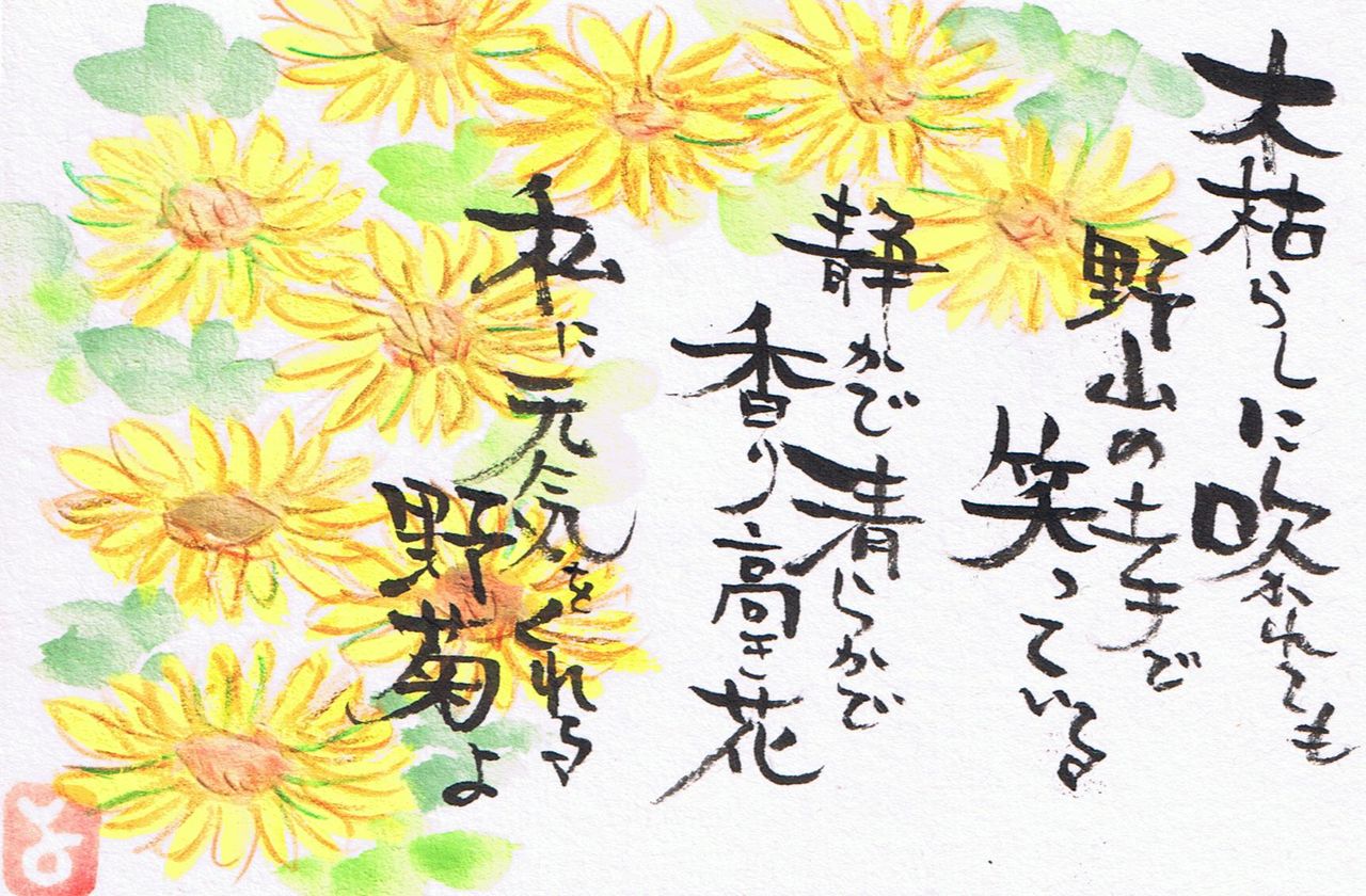 日本画 渋川矗(なおし)［ほそば のぎく］細葉野菊(別名：紀州菊) 高級額装 野菊 日本画 日本画 渋川矗 なおし ほそば のぎく 細葉野菊 別名
