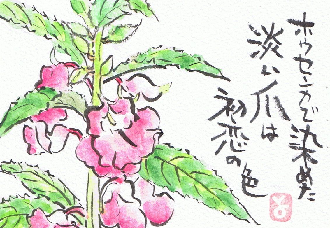 マミズマミーの絵手紙日和 鳳仙花 Mamizmammyのblog