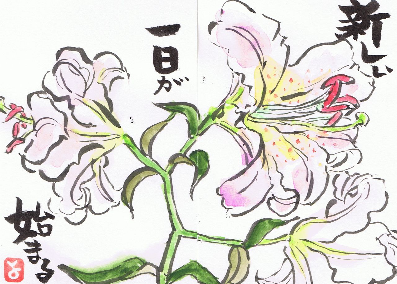 マミズマミーの絵手紙日和 オリエンタルユリ Mamizmammyのblog
