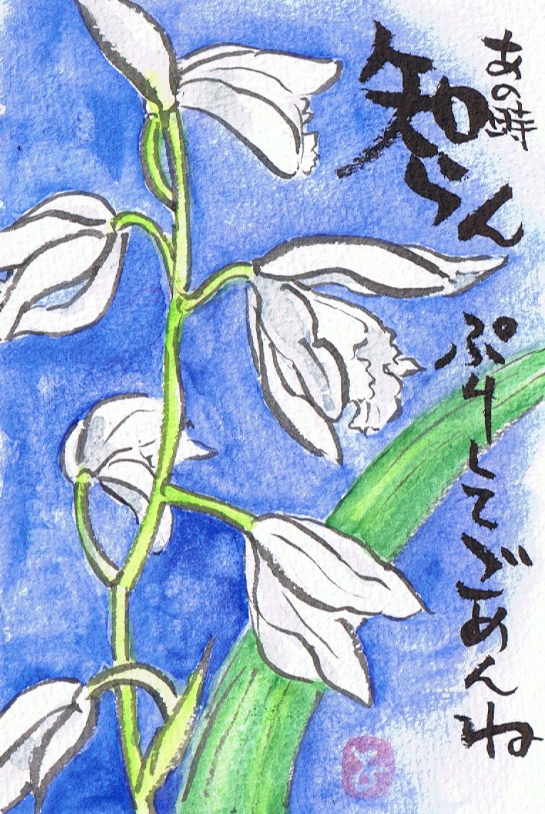 マミズマミーの絵手紙日和 紫蘭 白 Mamizmammyのblog