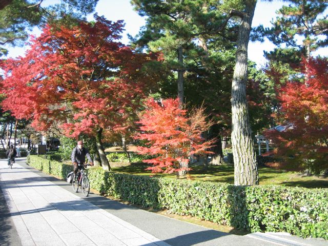 今年は紅葉満喫 まみず日々のあわぁ 今年は紅葉満喫 まみず日々のあわぁ