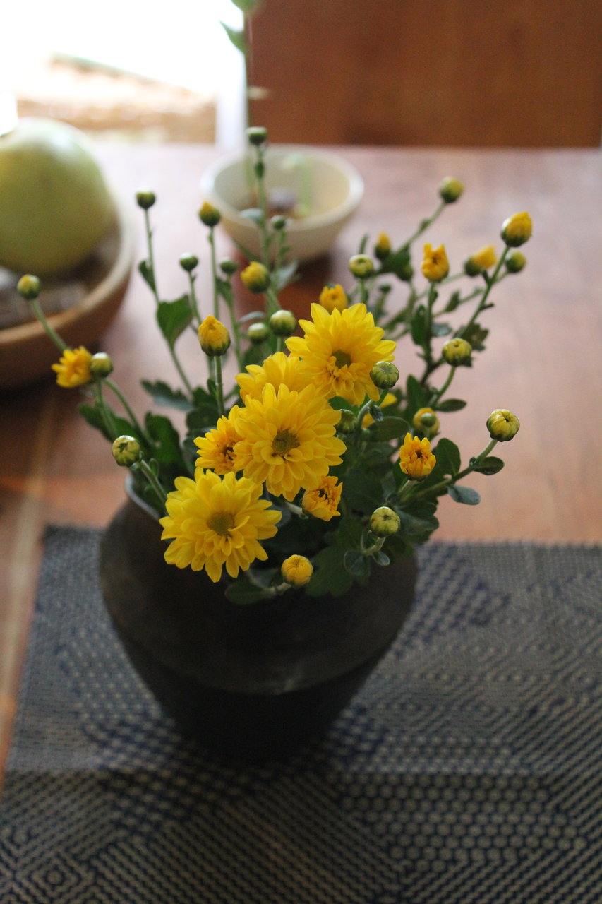 印刷 菊 生け方 誕生 日 ライン 友達 印刷 菊 生け方 誕生 日 ライン 友達