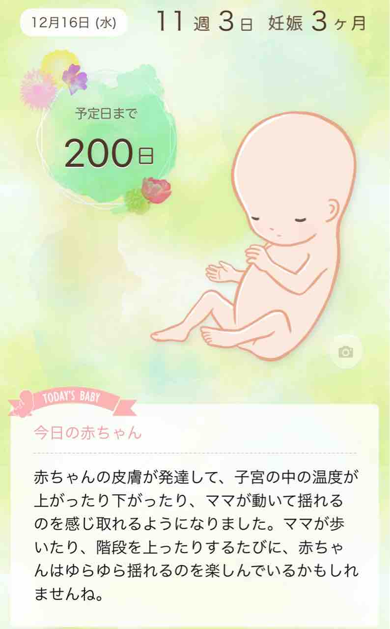 妊娠3ヶ月 孤独なつわり ほんとうのきもち