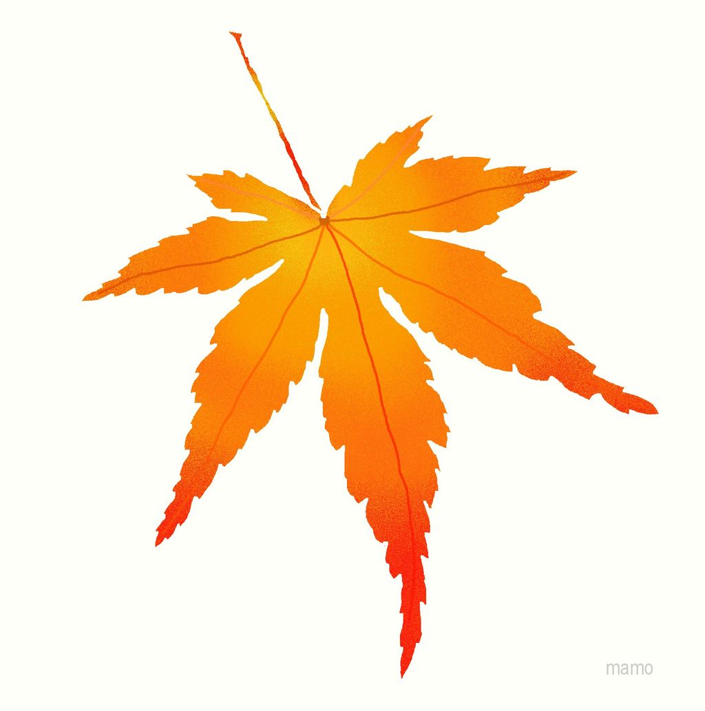 綺麗な紅葉 まもログ