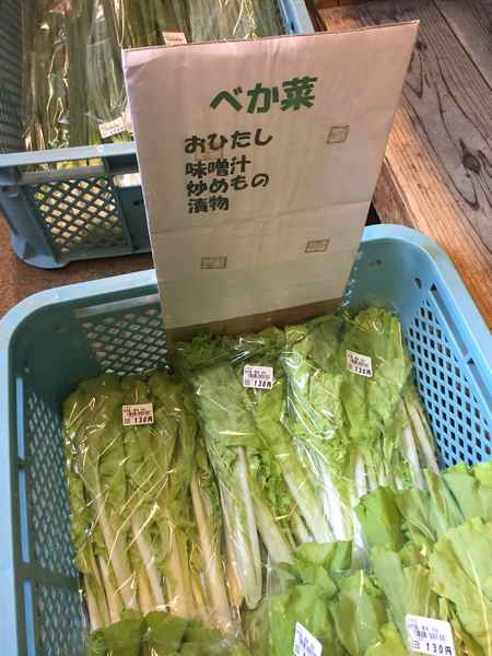 中原小学校 Travel Photo Diary 旅と酒と音楽と