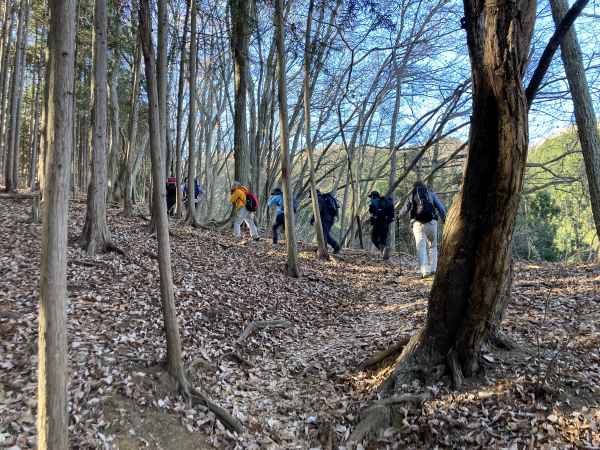 1226陣馬山から景信山へ Travel Photo Diary 旅と酒と音楽と